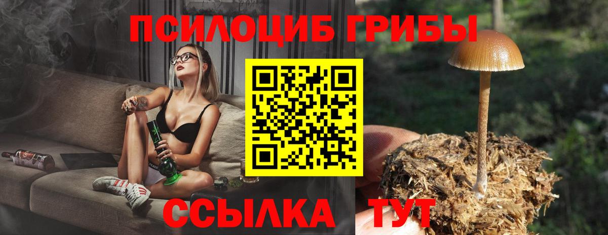 Псилоцибиновые грибы GOLDEN TEACHER Волоколамск